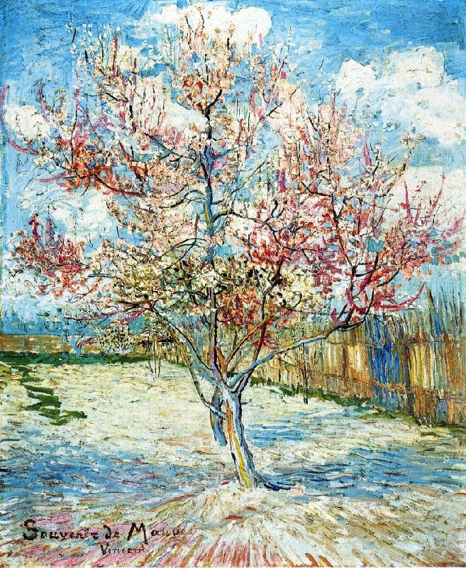 Peach Trees In Blossom by Vincent van Gogh