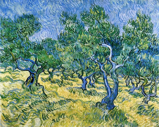 Olive Grove by Vincent van Gogh