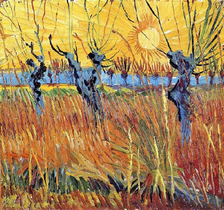 Pollard Willow With Setting Sun by Vincent van Gogh