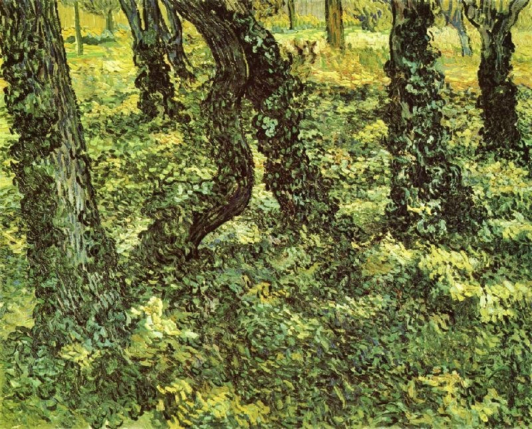 Trunks Of Trees With Ivy by Vincent van Gogh