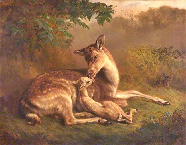 Deer And A Fawn by Samuel John Carter