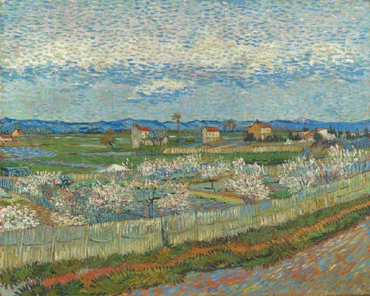 La Crau With Peach Trees In Bloom by Vincent van Gogh