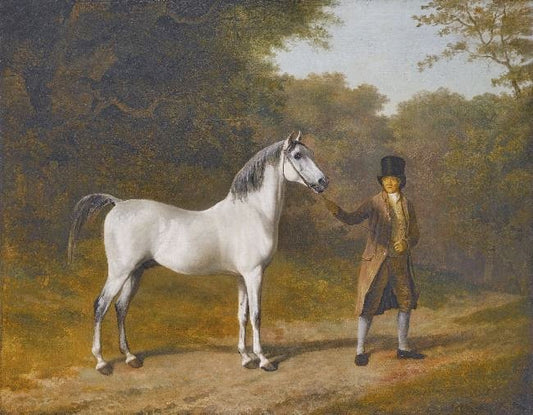 The Wellesley Arabian by Jacques-Laurent Agasse
