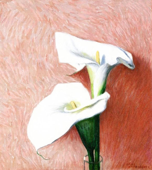 Calla by Hans Emmenegger