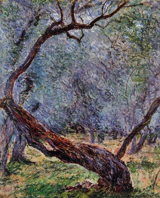 Study Of Olive Trees by Claude Oscar Monet