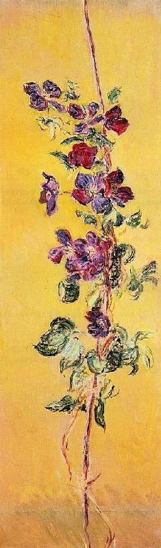 Cobeas by Claude Oscar Monet