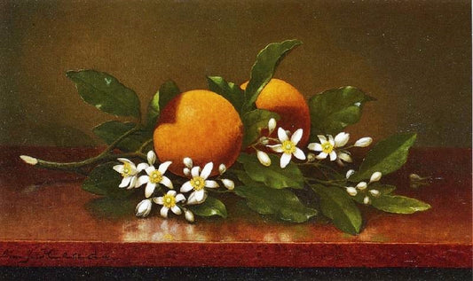 Two Oranges With Orange Blossoms by Martin Johnson Heade