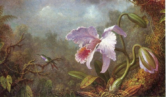 Hummingbird And Orchid by Martin Johnson Heade