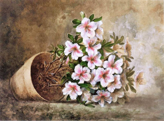 White Azaleas In A Flower Pot by Paul De Longpre