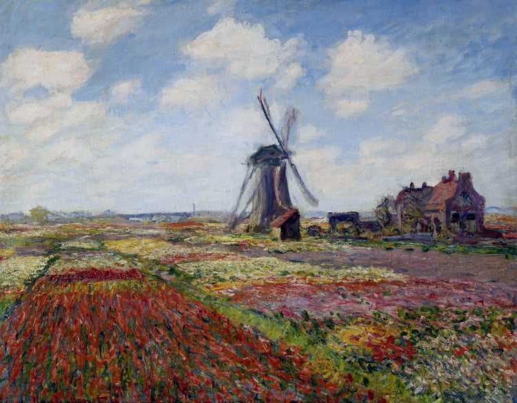 FIELD OF TULIPS IN HOLLAND