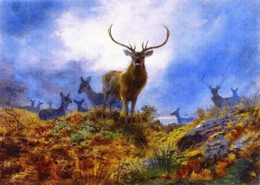 THE LAST CHANCE BEFORE DARK