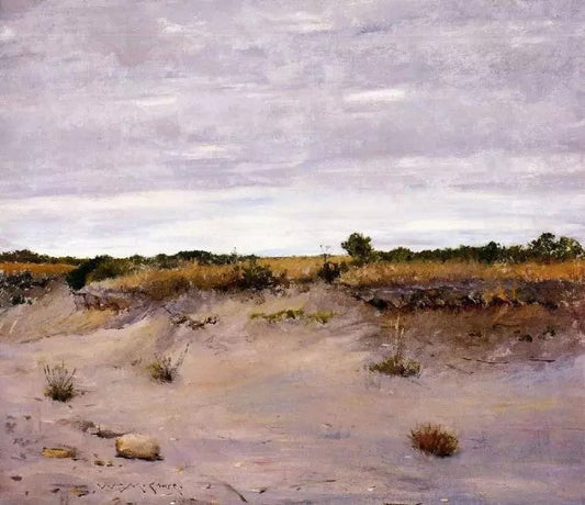 WIND SWEPT SANDS, SHINNECOCK, LONG ISLAND