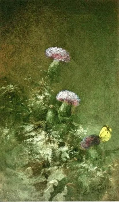 THISTLES WITH BUTTERFLY
