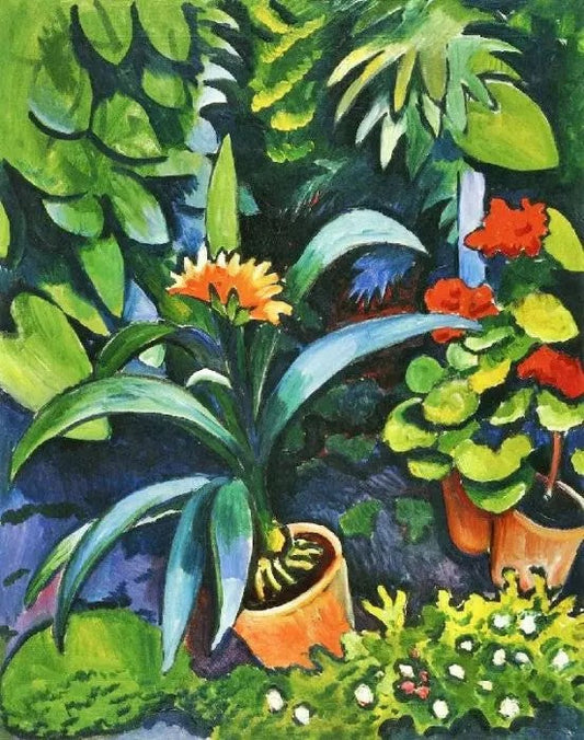 FLOWERS IN THE GARDEN, CLIVIA AND GERANIUMS