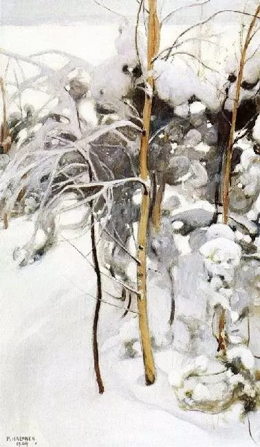 AN ORCHARD IN WINTER