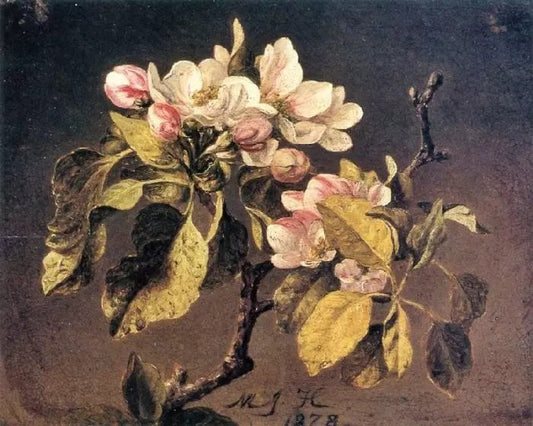 APPLE BLOSSOMS