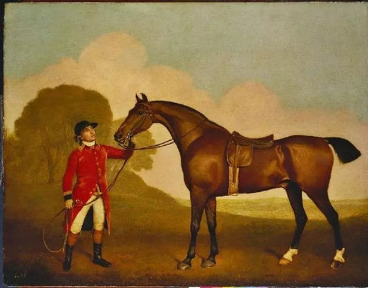A BAY HORSE WITH A GROOM