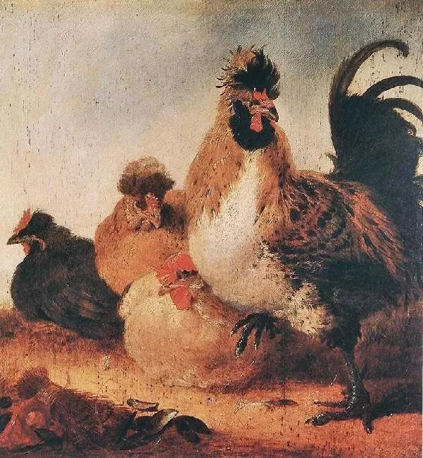 ROOSTER WITH HENS