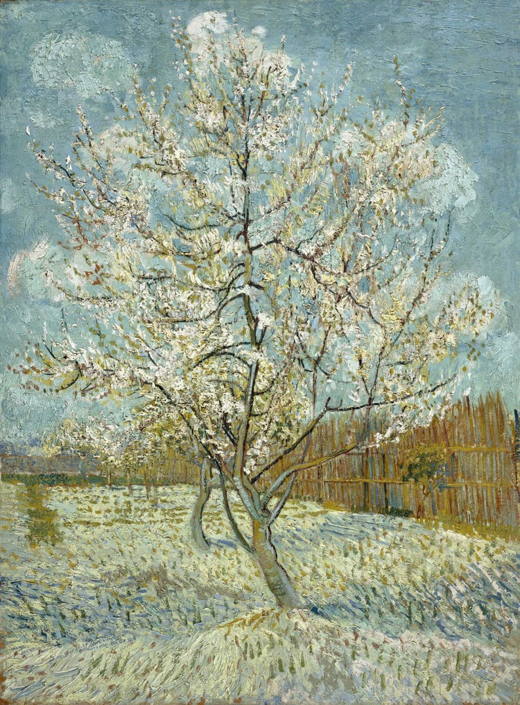 Peach Trees In Blossom, 1888 by Vincent van Gogh