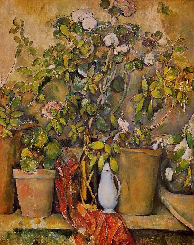 POTTED PLANTS
