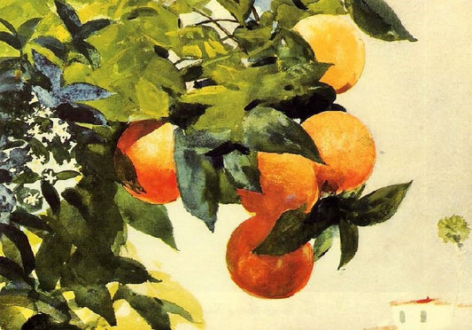 Oranges On A Branch by Winslow Homer