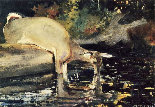 Deer Drinking by Winslow Homer