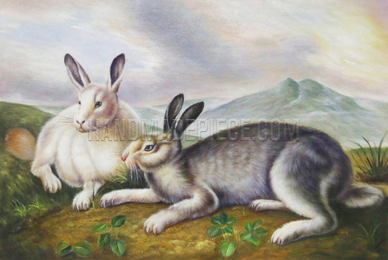 Arctic Hare by John James Audubon