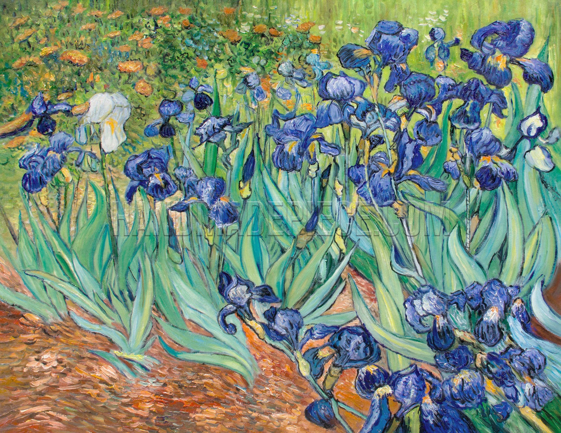 Irises by Vincent van Gogh