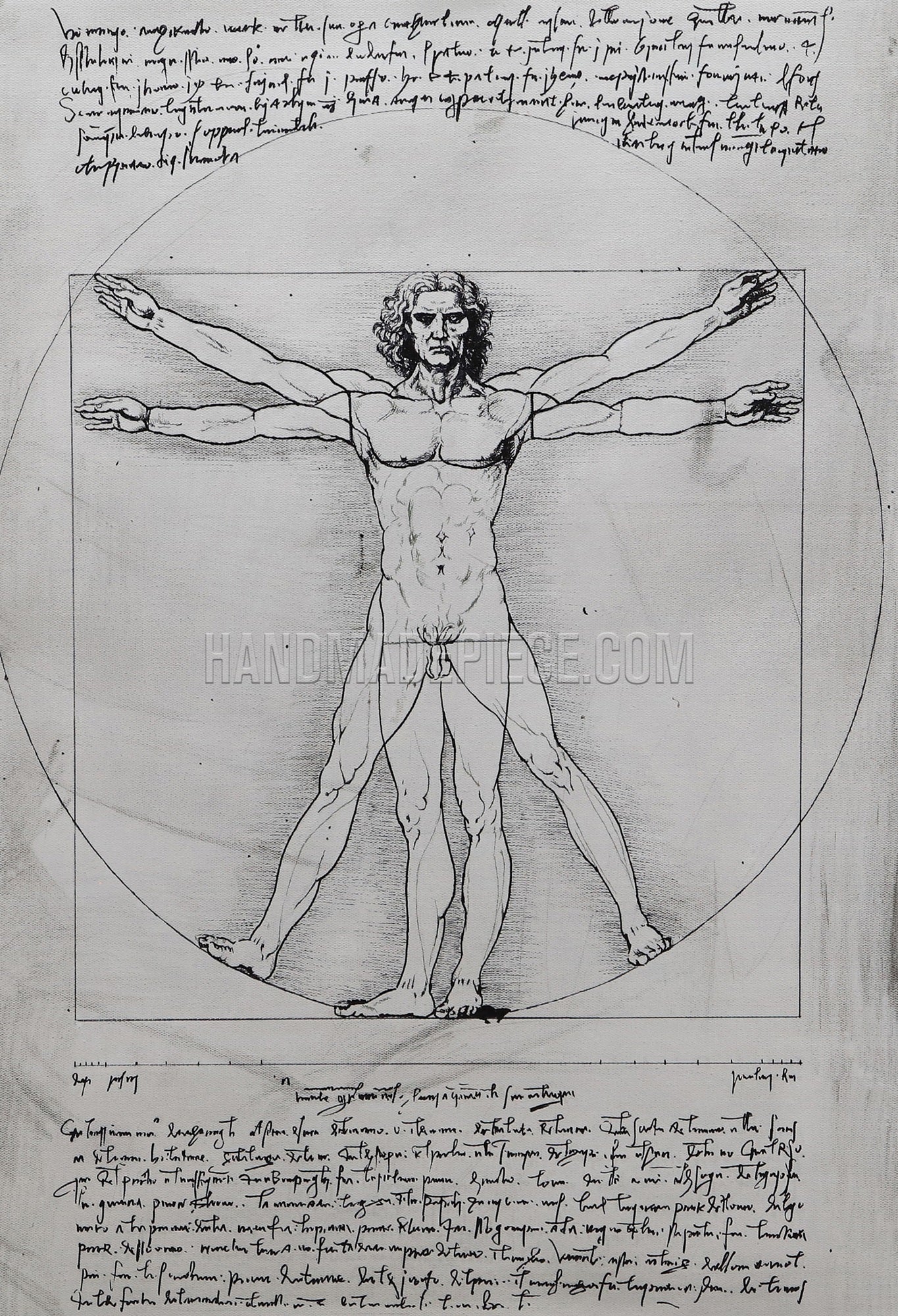 Vitruvian Man, Study Of Proportions, From Vitruvius’S De Architectura by Leonardo Da Vinci