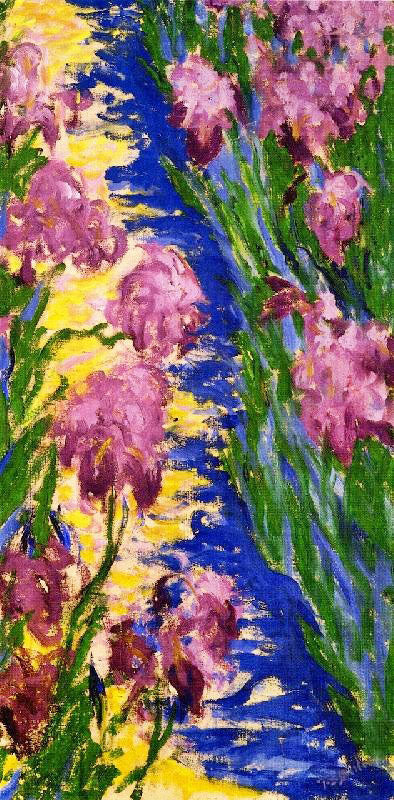 GARDEN PATH WITH IRIS