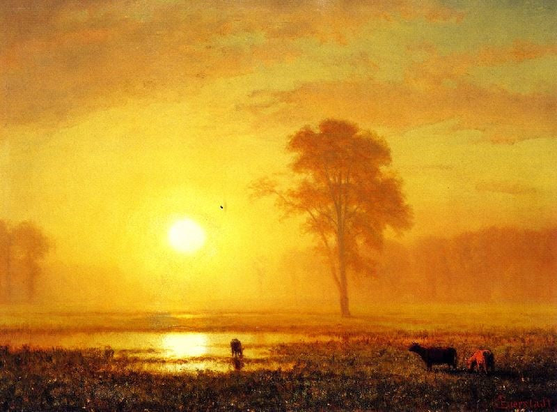 SUNSET ON THE PLAINS
