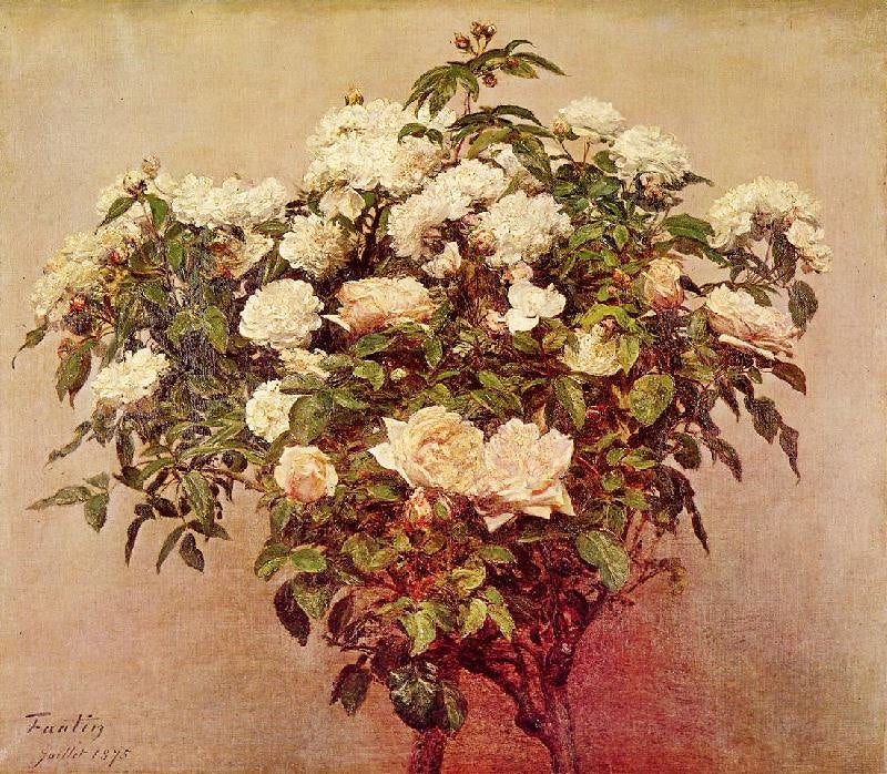 ROSE TREES, WHITE ROSES