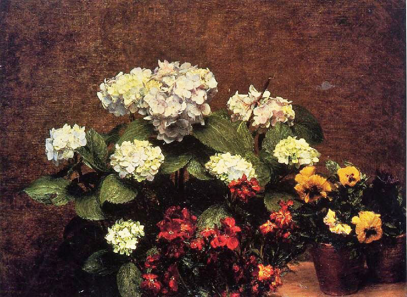 HYDRANGIAS, CLOVES AND TWO POTS OF PANSIES