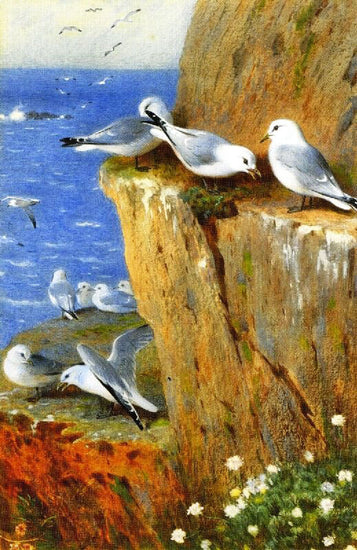 Seagulls by Archibald Thorburn