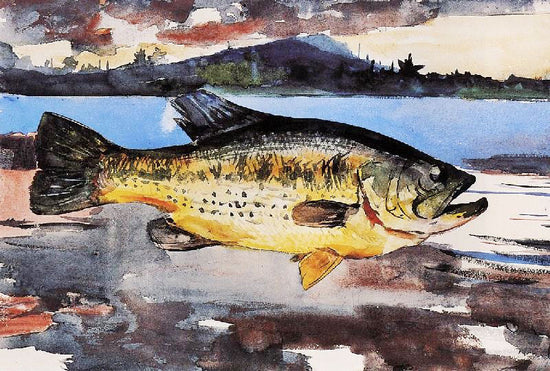 Bass by Winslow Homer