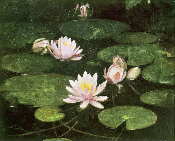 Waterlilies by Abbott Handerson Thayer