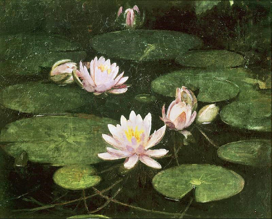 Waterlilies by Abbott Handerson Thayer