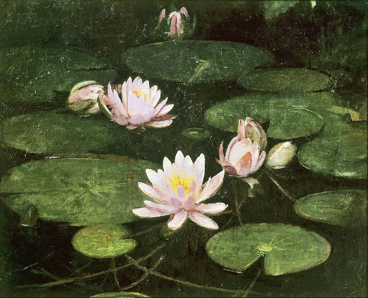 Waterlilies by Abbott Handerson Thayer