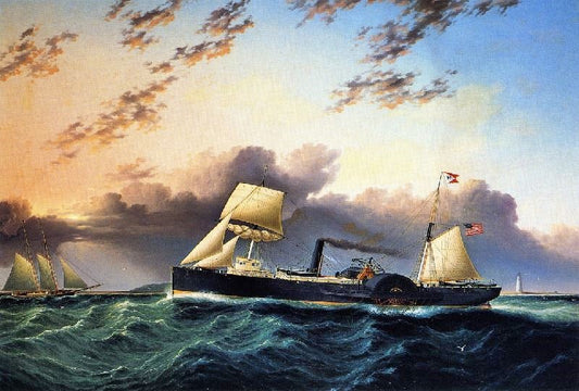 The Steam And Sail Ship by James E. Buttersworth