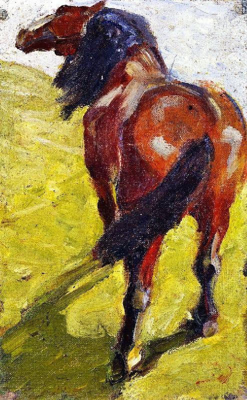 STUDY OF A HORSE