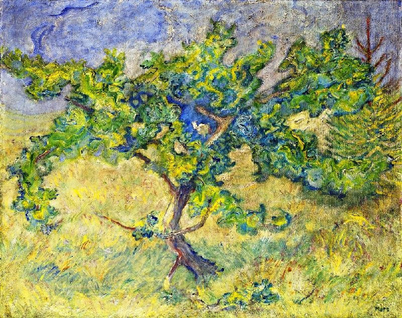 LITTLE OAK TREE