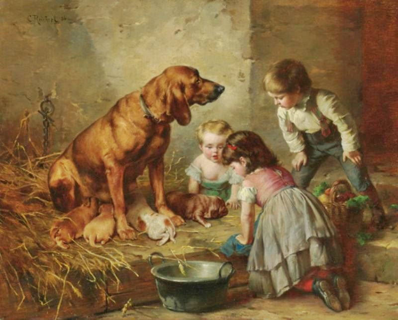 SEEING AFTER THE PUPS