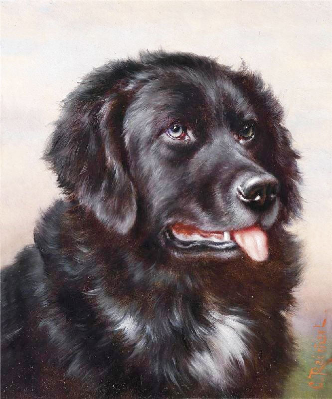 NEWFOUNDLAND