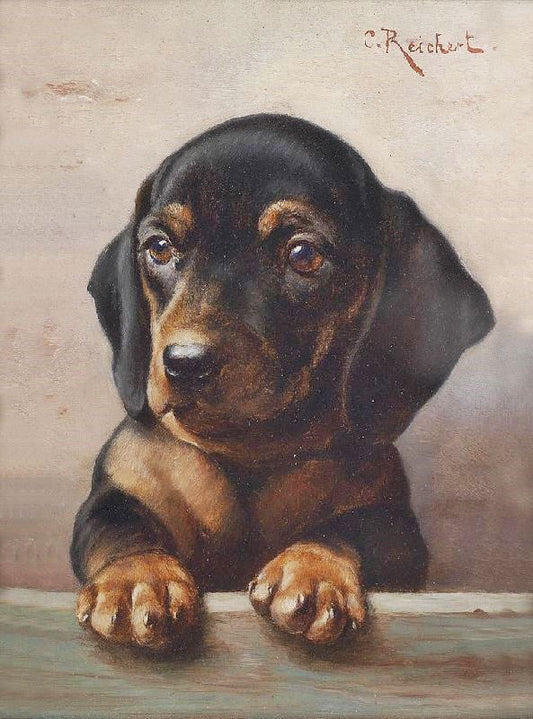 Young Dachshund by Carl Reichert