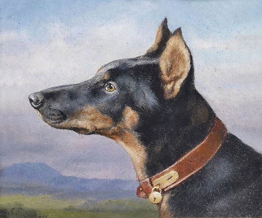 Portrait Of A Doberman by Carl Reichert