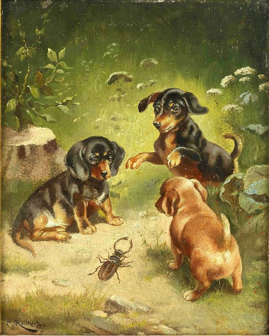 Dachshund Puppies At Play by Carl Reichert