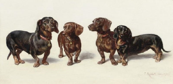 Four Dachshunds by Carl Reichert