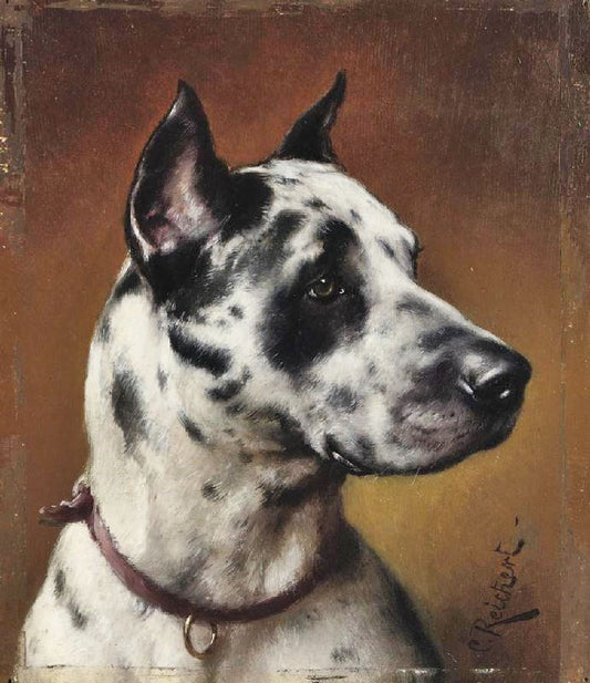 The Great Dane by Carl Reichert