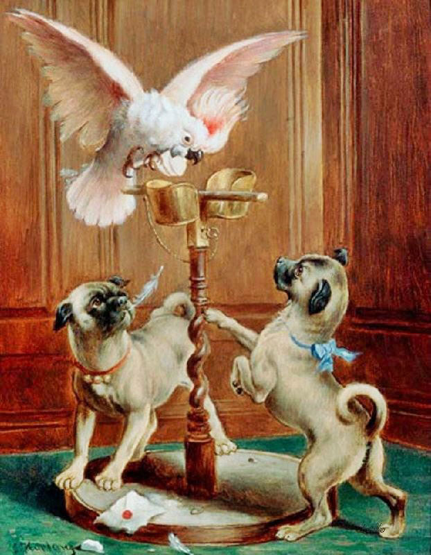 The Disturbed Cockatoo by Carl Reichert