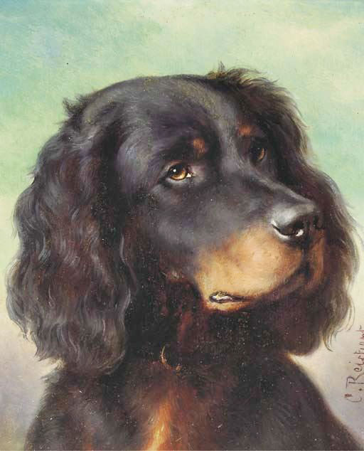 A Gordon Setter by Carl Reichert